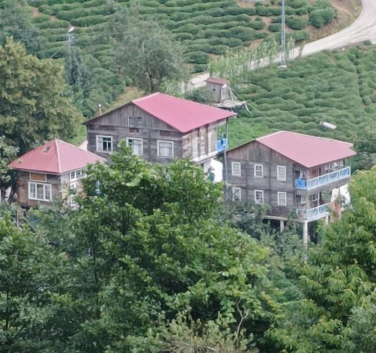 Borcka Ski Chalet | ŞİİRLİ Konak