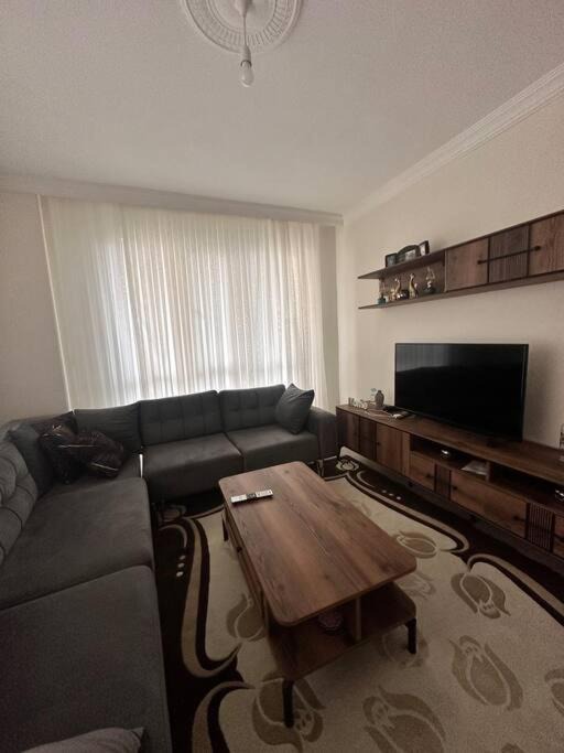 Pazar Apartment | apartment home
