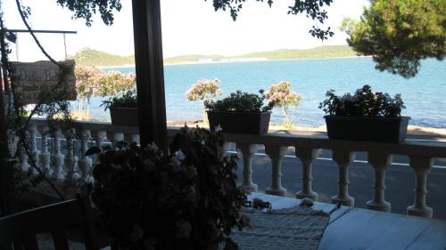Sefa Camlık House | Ayvalik Dostlar Pansiyon