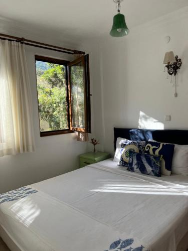 Ovabuku Apartment | Belfin Pansiyon Ovabükü