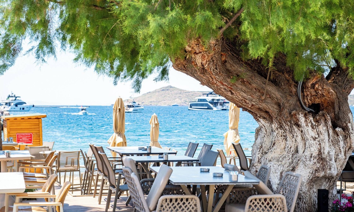 Yalikavak Hotel | Casa Colore Boutique House