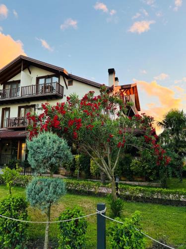 Masukiye Hotel | Cevizdibi Hotel