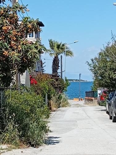Urla Villa | Dal urla