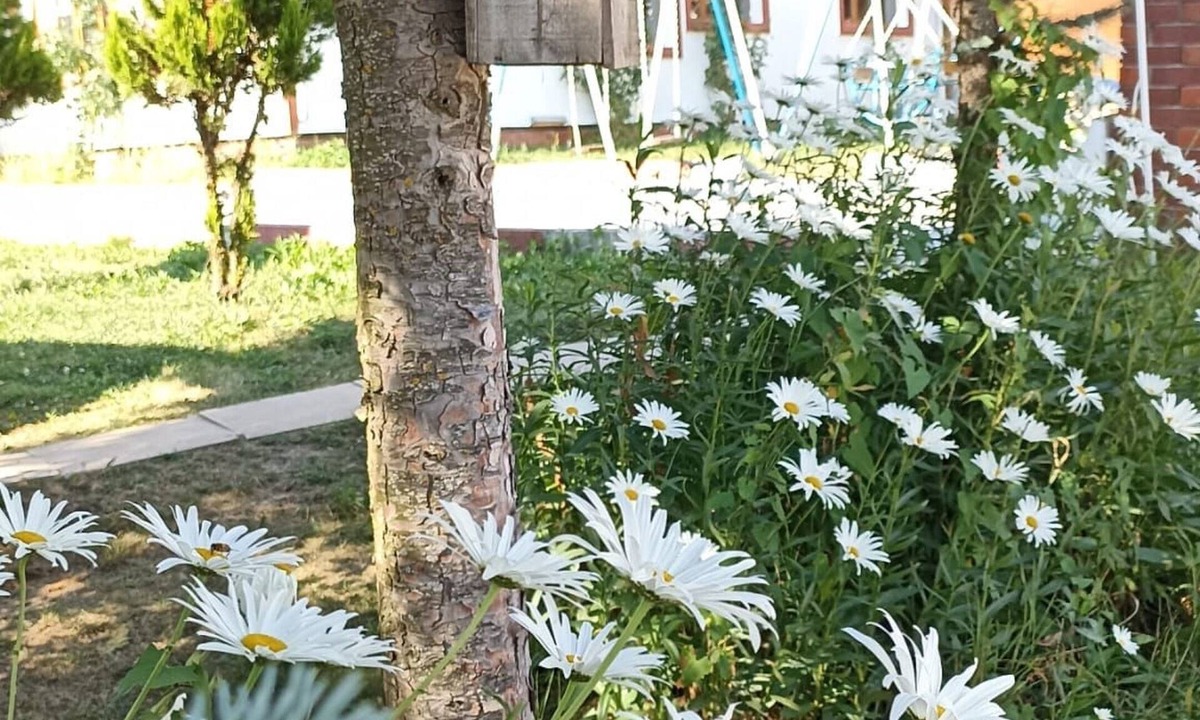 Niksar Hotel | Doruk Garden Hotel Tokat