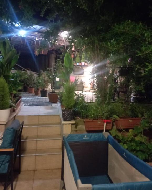 Avsallar Villa | helal el diyar ayranci village