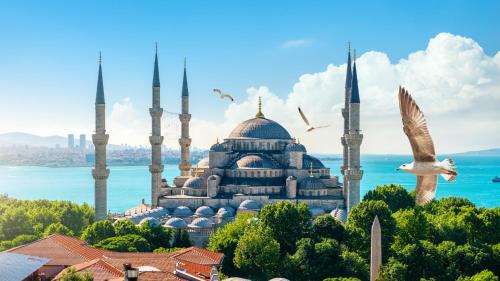 Old City Hotel | Istanbul Old City Sultanahmed Miran Hotel