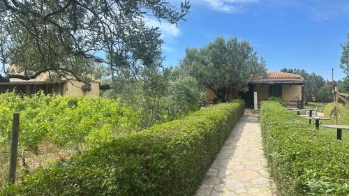 Bozcaada House | KBozcaada Revma