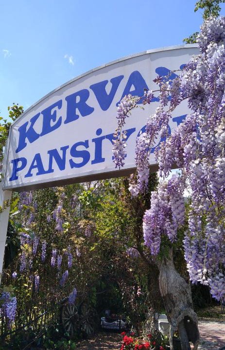 Cirali House | Kervan Pansiyon