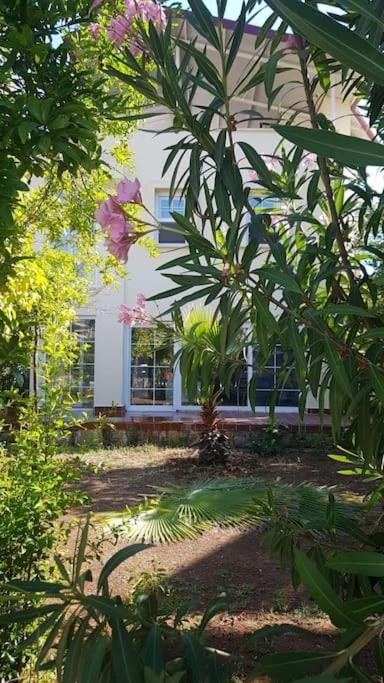 Ciftlik Villa | MIA CASA PETITE VILLA WITH FANTASTIC GARDEN