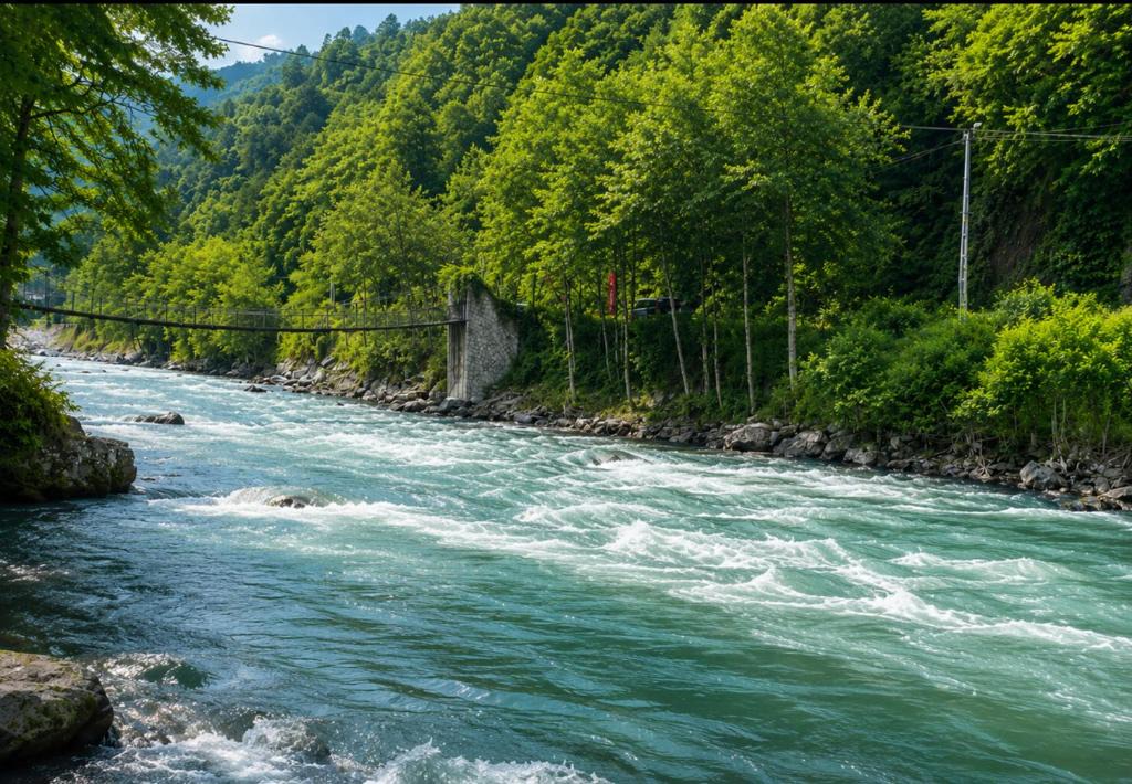 Ayder Hotel | MOLVA Bungalows Otel