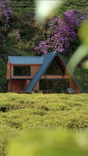 Cayeli Villa | Nesli Villa & Bungalow-4
