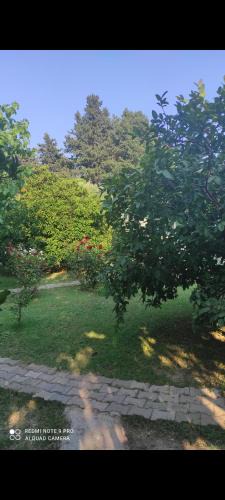 Cirali House | Saklı Bahçe pensiyon & camping