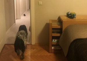 Cozy and spacious apartment