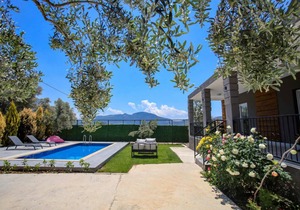Villa with Private Pool Surrounded by Olive Trees