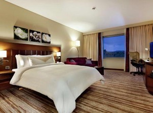 Hilton Garden Inn Mardin | Artuklu