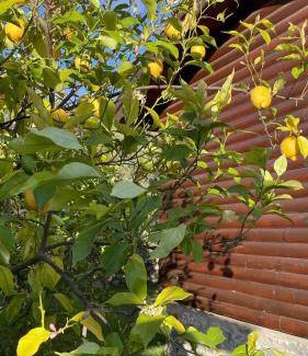 Ciftlik House | 121 m² House ∙ 3 bedrooms ∙ 8 guests