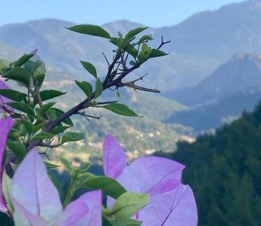 Olympos Apartment | Apartment ∙ 1 bedroom ∙ 5 guests