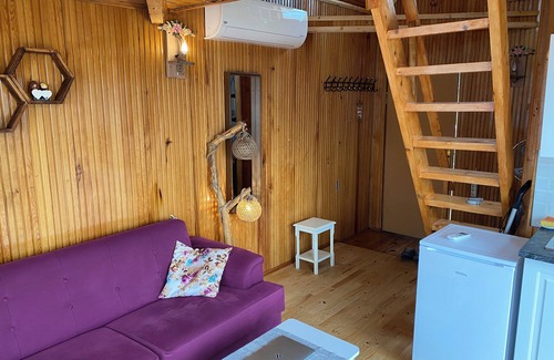 Trabzon House | Vrbo Property