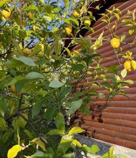 Ciftlik House | 121 m² House ∙ 3 bedrooms ∙ 8 guests