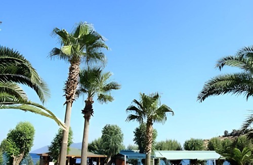 Bodrum City Center Resort | 80 m² Resort ∙ 2 bedrooms ∙ 127 guests