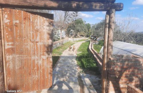 Selcuk Other | Ali dede kamp karavan bungalow