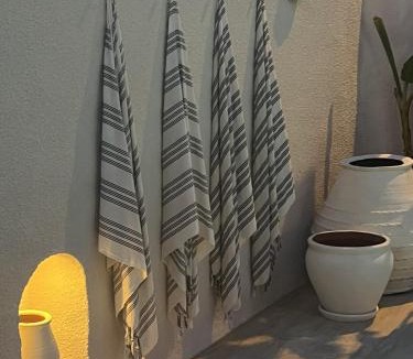 Hacımemis Hotel | Anıt Konak