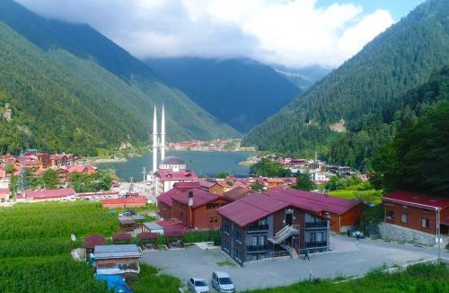 Uzungol Apartment | Anemo Suite