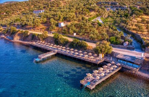 Ayvacik Hotel | Assos Dionysos Special Class Hotel Adults Only 12 years