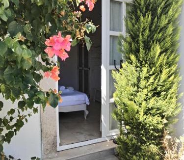 Hacımemis Hotel | Bay C