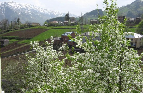 Duzkoy Ski Chalet | Cal Cave Apart Hotel, فندق كال كايف أبارت
