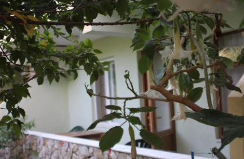 Cirali Hotel | Cirali Hotel