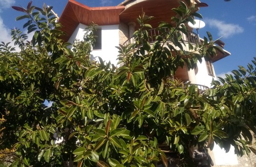 Mesudiye Villa | Detached villa
