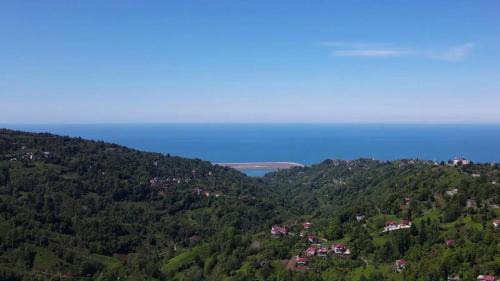 Pazar Hotel | Du du Bungalov