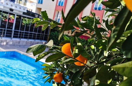 Konyaalti Apartment | Güden-Pearl Apart Hotel , Große Apartments mit Küche , Privater Strand , Ausgezeichnetes Frühstück