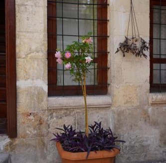 Sahinbey Bed & Breakfast | Gaziayintap Konağı