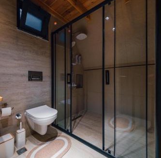Sapanca Ski Chalet | Green date bungalow