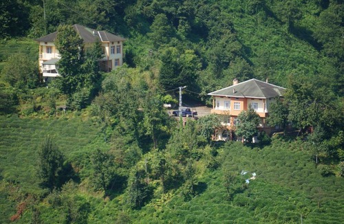 Cayeli House | Haytef Erenler Konut