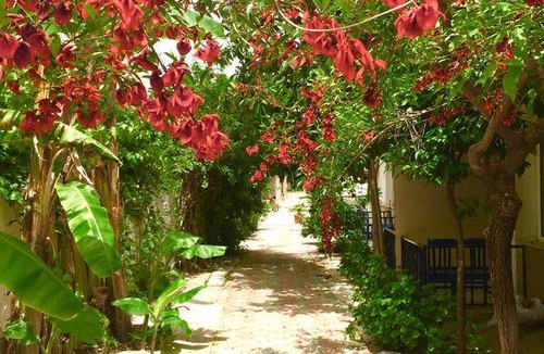 Fethiye City Center Hostel | Hostel ∙ 8 guests