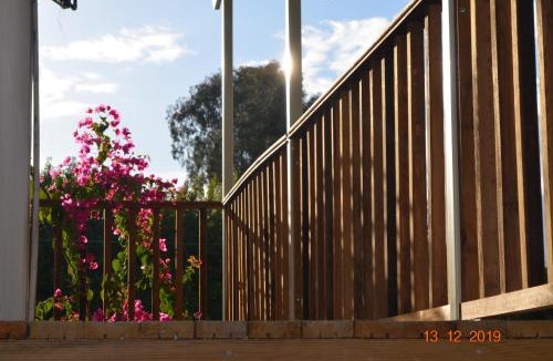 Fethiye City Center Hotel | Hotel Uygar