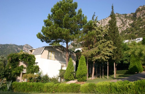 Turunc Apartment | If you can imagine relaxing under the olive trees sipping a Gin & Tonic!