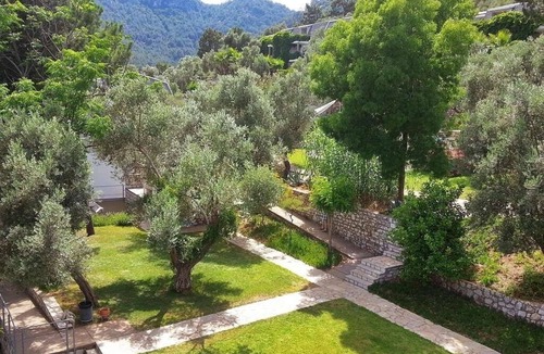 Turunc Apartment | If you can imagine relaxing under the olive trees sipping a Gin & Tonic!