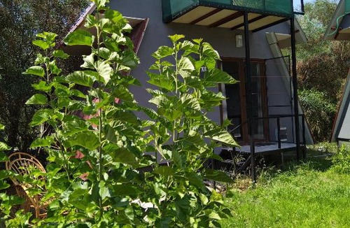 Ciftlik Apartment | #İLK BAHAR