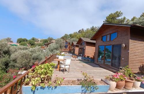 Faralya Hotel | Kabak Armes Otel