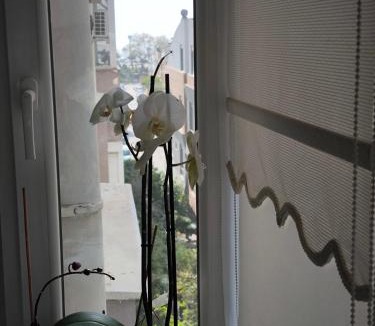 Altnkum Mahallesi Apartment | konyaaltı iki odalı daire