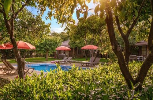 Payallar Apartment | Mandarin Bungalow