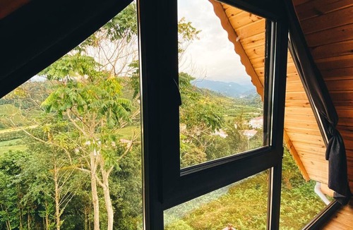Pazar Hotel | Mavi Patika Bungalov