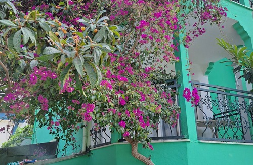 Marmaris City Center Apartment | Miramonte Apart Hotel