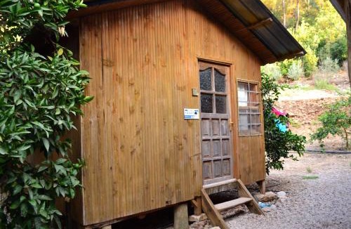 Olympos Resort | Olympos Yakamoz Pansiyon