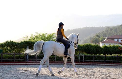 Atakoy Hotel | Padok Premium Hotel & Stables