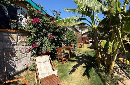 Ayvalik Apartment | Pet Friendly Pool Suites